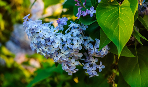 圣德嘉康综合病房康复护理服务体系与出院后支持：让康复持续护航健康